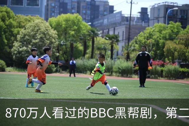 870万人看过的BBC黑帮剧，第二季没播就续订第三季